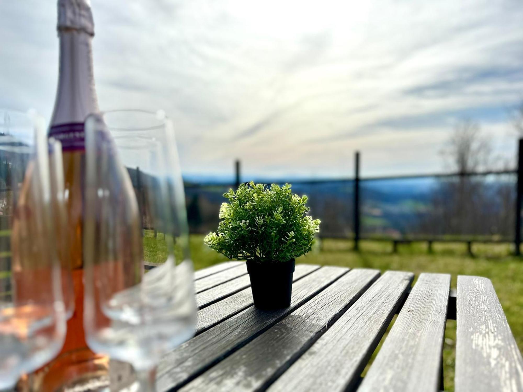 Gemuetliches Alpenblick Berg-Bungalow + Grosser Garten + Netflix! Schofweg Екстер'єр фото